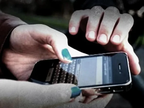 Detienen a un joven por robarle el celular a una changuita salteña