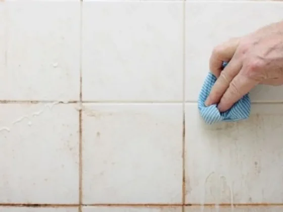 Cómo eliminar el moho entre los azulejos de las baldosas con solo 1 ingrediente