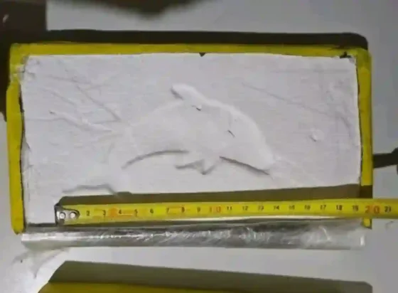 La droga secuestrada a los narcopolicías salteños tiene la marca del "Delfín"