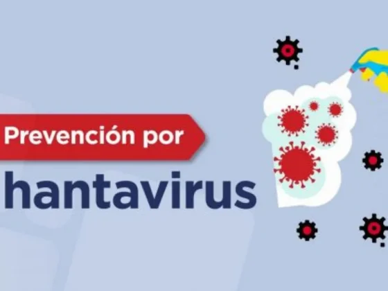 ATENCIÓN: salud Pública recuerda medidas para prevenir infección por hantavirus