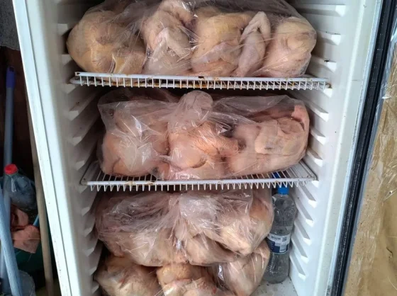 Secuestraron un vehículo que circulaba sin habilitación y con 300 kg de pollo en mal estado