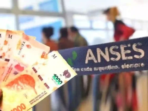 Alerta ANSES: una por una, cuánto cobran las Asignaciones Familiares en agosto 2024