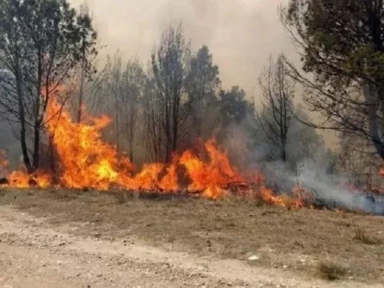 Rige alerta amarilla en Salta por incendios forestales