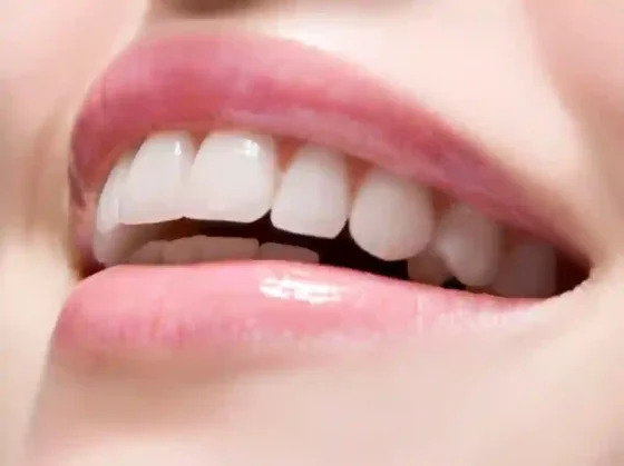 La posibilidad de que se nos regeneren los dientes parece estar más cerca que nunca