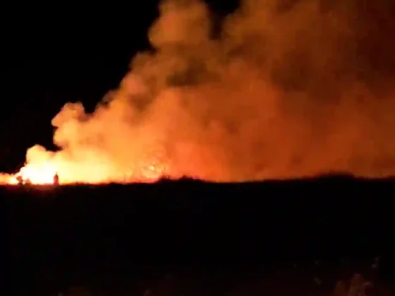 Caos en Animaná: ruta cerrada por devastador incendio