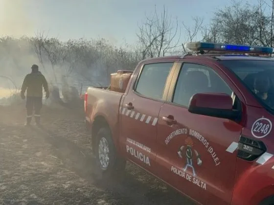 Importante trabajo de bomberos por un incendio forestal en zona sudeste