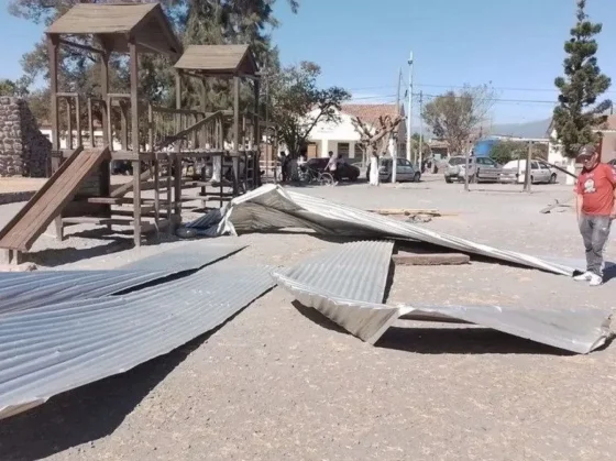 Viento Toro: Caída de árboles, voladura de techos y otros destrozos en Campo Quijano