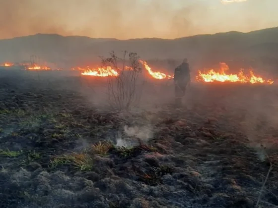 Incendios forestales: el alerta vuelve a ubicarse en Extremo