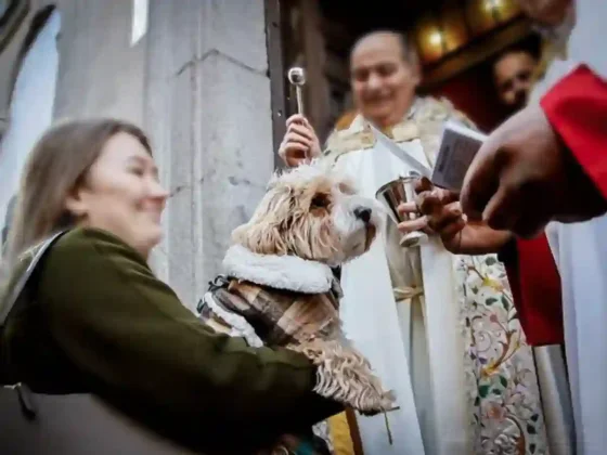 16 de agosto, Día de San Roque: el patrono de los enfermos y los perros