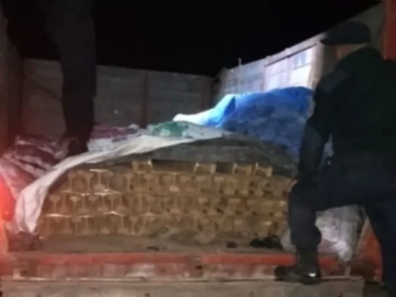 Dragones: La Policía secuestró una importante carga ilegal de rieles