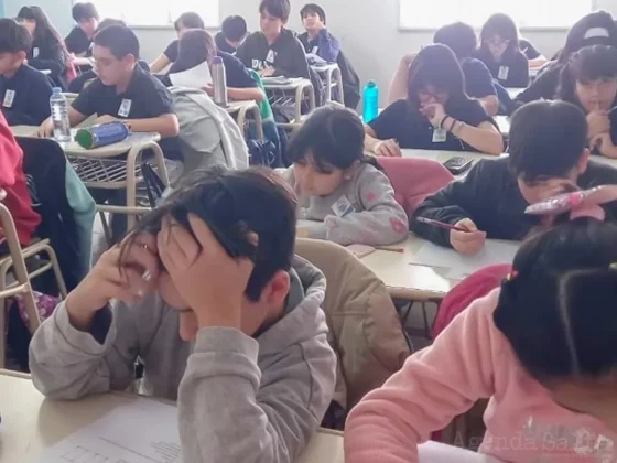Casi 120 alumnos primarios rinden hoy en la Olimpiada Matemática 'Ñandú'
