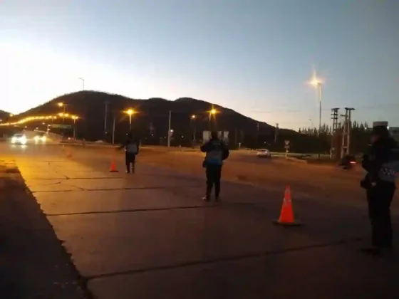 Manejaba borracho, embistió a una policía y se dio a la fuga