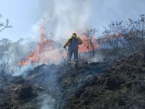 Intenso operativo para sofocar un incendio forestal