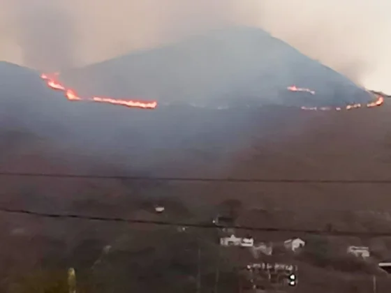 Preocupación por los incendios en los cerros de Vaqueros