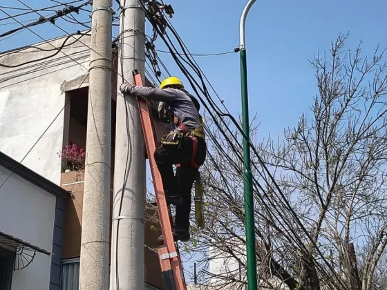 Se realiza despeje de cableado en calles del recorrido de la procesión del Milagro
