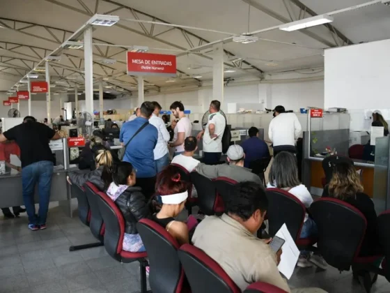 Desde este jueves se normaliza la atención en el Tribunal de Faltas