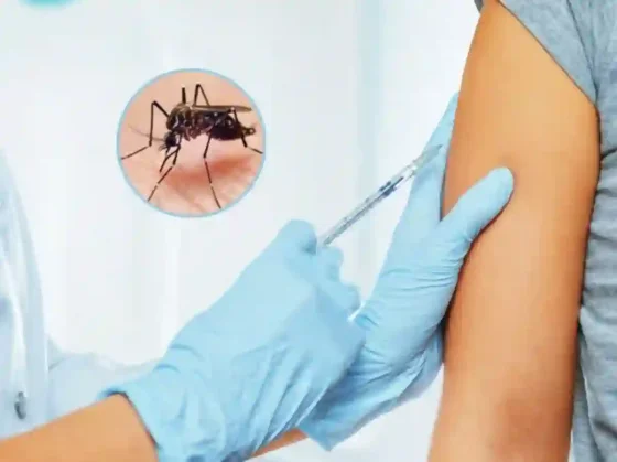 El Gobierno nacional comenzó a distribuir las vacunas contra el dengue ¿qué pasa con Salta?