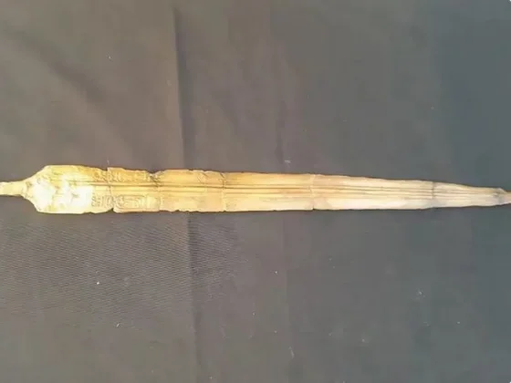 Hallaron en Egipto una espada con el sello de Ramsés II que sigue brillando 3 mil años después