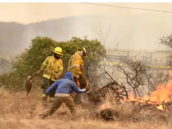 FUEGO INCONTROLABLE: hay 14 casas quemadas y al menos 54 personas evacuadas