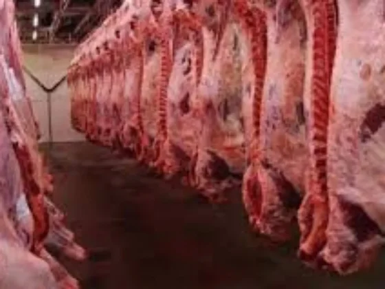 Crecen las exportaciones de carne vacuna: 23% más en agosto
