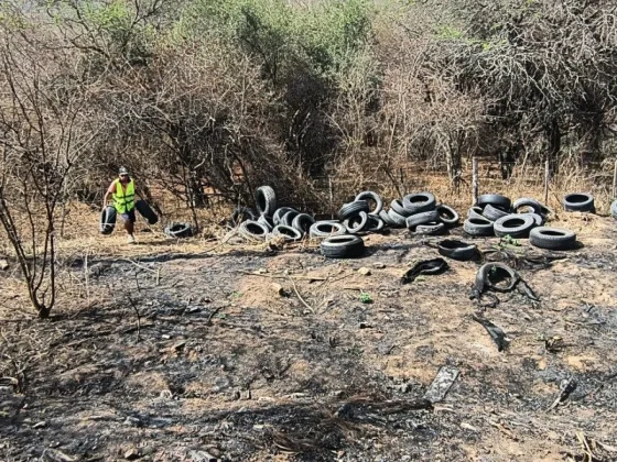 Se retiraron 120 neumáticos que fueron arrojados en el Acceso Norte