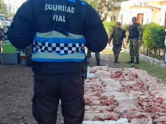 La Policía secuestro más de 760 kilos de carne no apta para el consumo humano