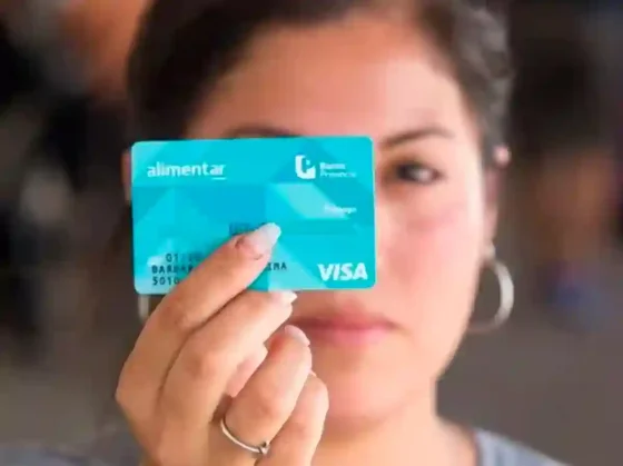 AUH y Tarjeta Alimentar: quiénes no cobrarán en octubre de 2024