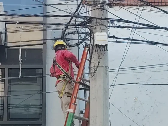 En Pueyrredón al 800 se hizo despeje de cables en desuso