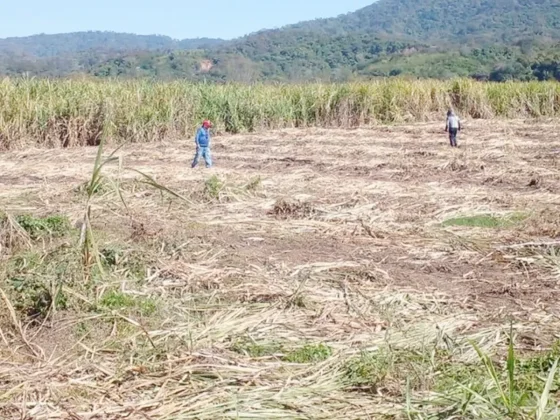 Frontera regalada: La Cancillería boliviana admite la invasión a territorio salteño