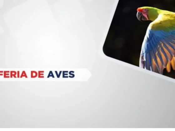 El Parque del Bicentenario celebrará mañana el Día de las Aves