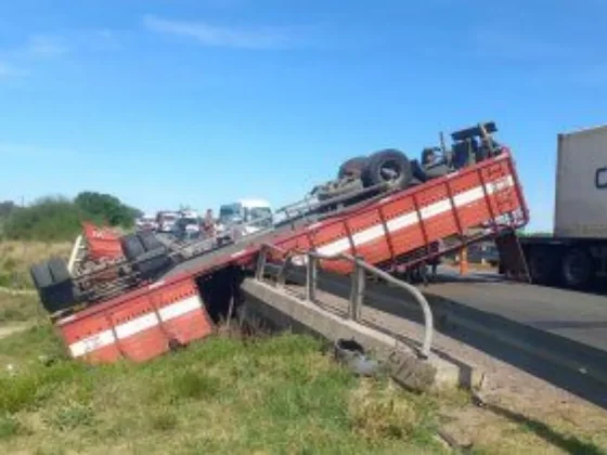 Un camión con vacas volcó y los vecinos aprovecharon para faenarlas: "Ahora vamos a comer asado"