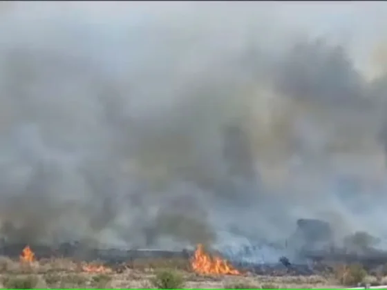 Incendios en Córdoba: crece la preocupación por los nuevos focos y la falta de lluvias