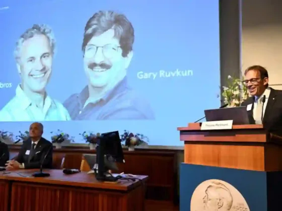 Dos científicos de EE.UU. ganaron el Nobel de Medicina por descubrir un principio clave sobre los genes