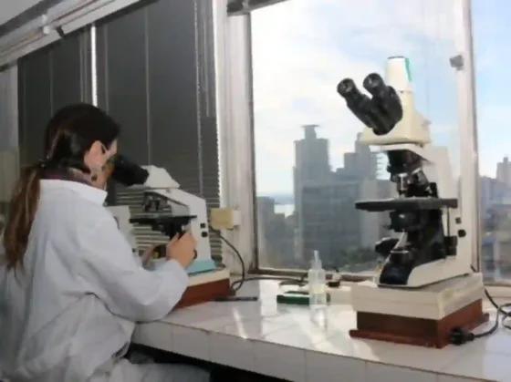 Científicos argentinos buscan evitar que el país sea uno los países con más muertes por superbacterias en 2050