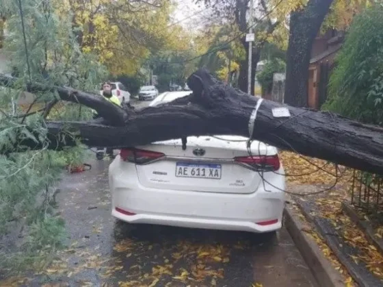 La lluvia de las últimas horas provocaron daños importantes en la ciudad