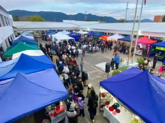 Abrieron las inscripciones para participar de la feria por el Día de la Madre
