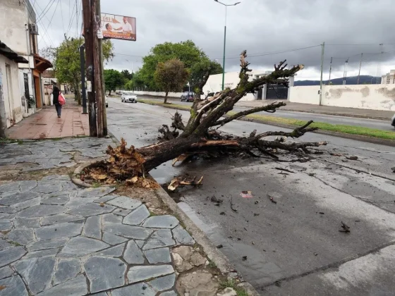 El 105 intervino en 70 incidentes por las lluvias en las últimas 48 horas