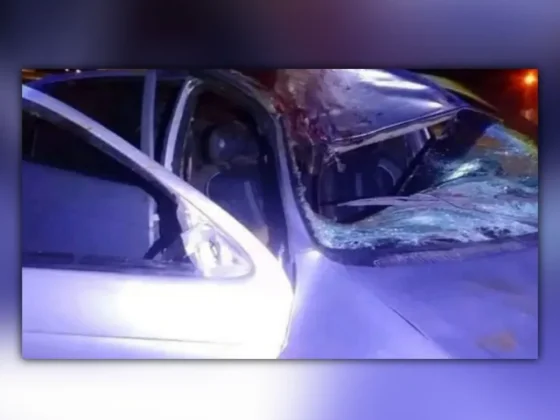 Un caballo se cruzó en la ruta y provocó un terrible siniestro vial