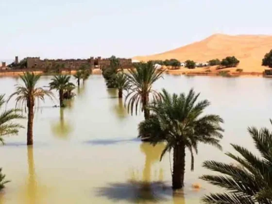 Se inundó el Sahara, pero hay regiones del sur bajo una severa sequía y riesgo de hambruna
