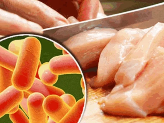 En el último año los casos de salmonelosis disminuyeron un 52,5% en la provincia