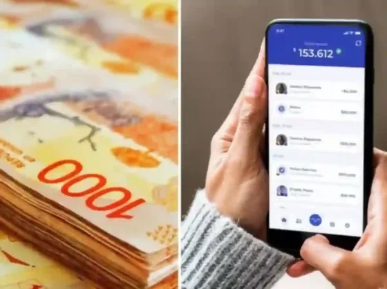Una medida del BCRA recortó las ganancias en billeteras digitales y fondos de inversión