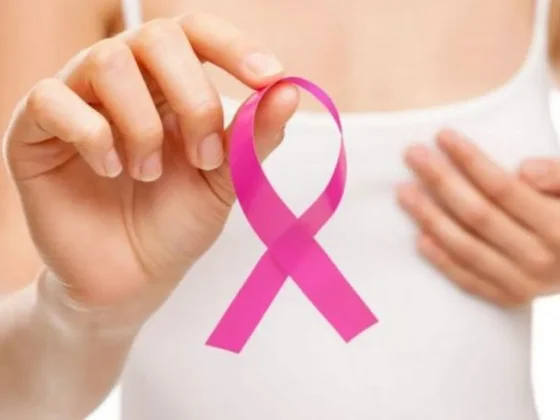 Día Mundial de la Lucha contra el Cáncer de Mama