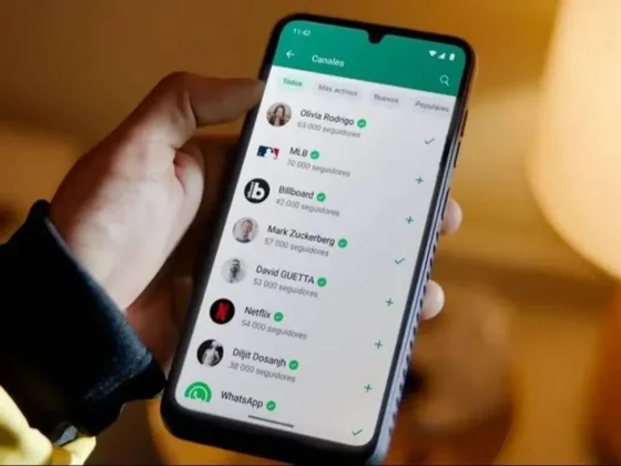 Dónde encontrar la papelera de WhatsApp para encontrar conversaciones