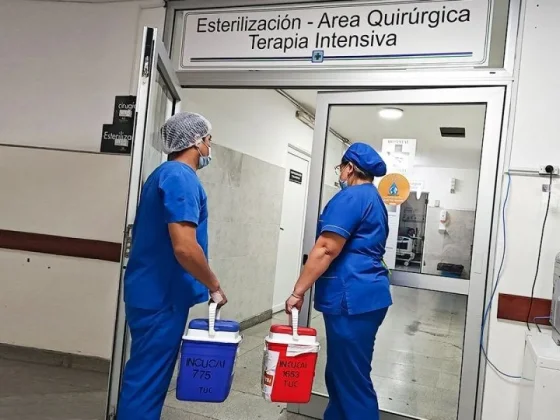 En Salta se realizan trasplantes de córneas, riñón y médula ósea