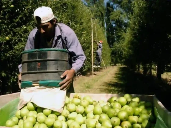Economías regionales: Exportaciones crecieron un 29,1% en dólares y 26,5% en toneladas