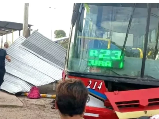 TRAGEDIA: un colectivo fuera de control atropelló a cuatro personas y una mujer murió