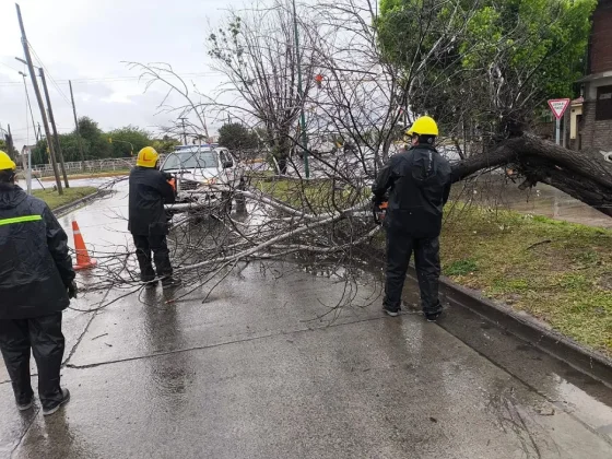 Tras la lluvia de anoche, el Sistema de Emergencias 105 intervino en 16 incidentes