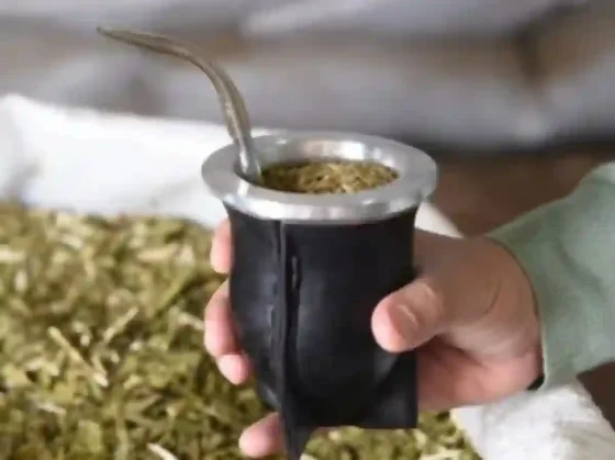 El consumo de yerba es el más bajo en nueve años