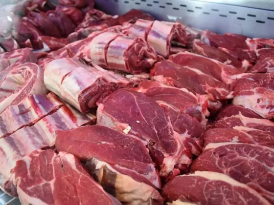 “Argentina abrió la exportación a Ecuador de cítricos y carne bovina”