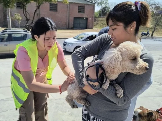 Conocé donde estarán los puestos de vacunación antirrábica de la próxima semana